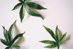 Are there any potential drug interactions with CBD gummies for kids?