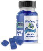 MaryJanesFullSpectrumBlueberryGummy25mg 1024x1024