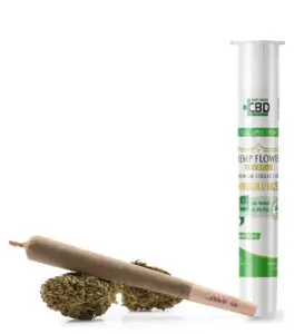 Honolulu Haze Pre Roll x Honolulu Haze Pre Roll x